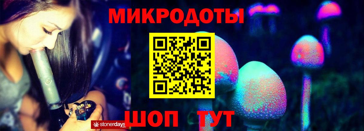 Галлюциногенные грибы GOLDEN TEACHER  Вход с VPN  Камень-на-Оби 